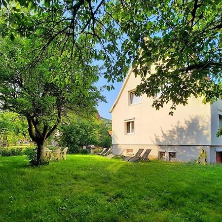 Rooms 4 Persons Kaysersberg 외부 사진