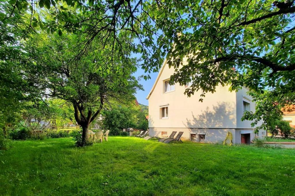Rooms 4 Persons Kaysersberg 외부 사진